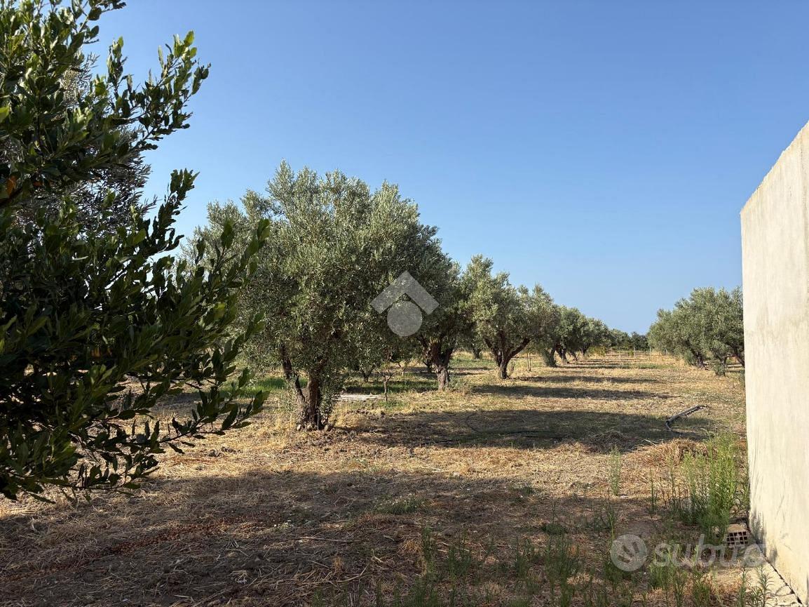 TER. AGRICOLO A BELCASTRO - Vista 2