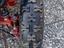 Immagine 6