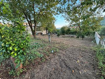 Terreno agricolo