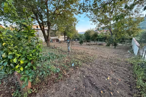 Terreno agricolo