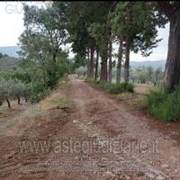 Rustico/Casale/Corte Gualdo Cattaneo [A4310373]