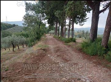 Rustico/Casale/Corte Gualdo Cattaneo [A4310373]