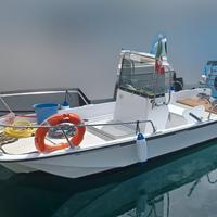 Boston Whaler 17 + Selva Dorado 40/60HP (2012)