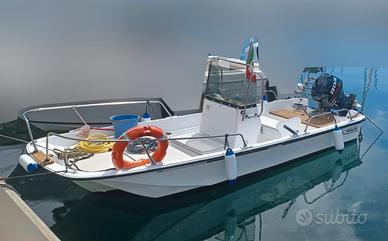 Boston Whaler 17 + Selva Dorado 40/60HP (2012)