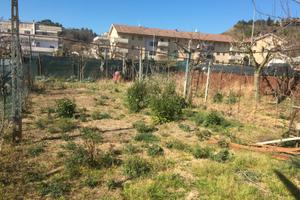 Terreno agricolo ad uso orto