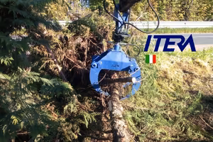 Pinza Legna 80cm con Rotatore Idraulico 10qli