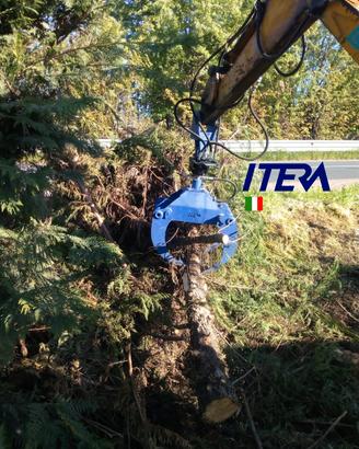 Pinza Legna 80cm con Rotatore Idraulico 10qli