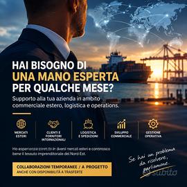 Manager temporaneo - supporto aziende / commercial