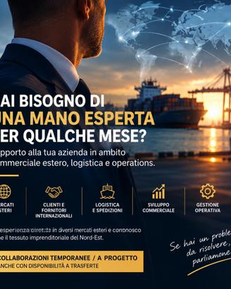 Manager temporaneo - supporto aziende / commercial