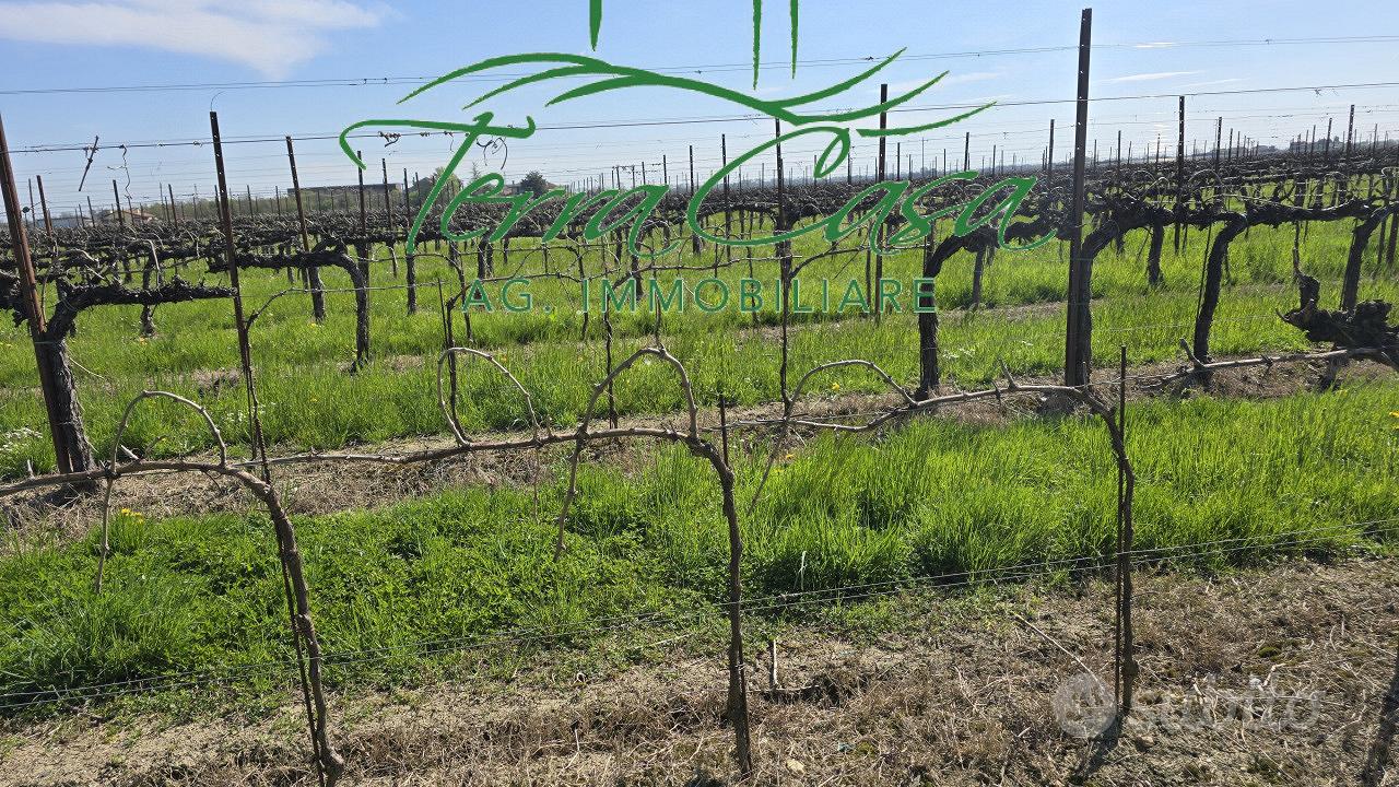 Terreno Agricolo a San Donà di Piave - Opportunit - Vista 3