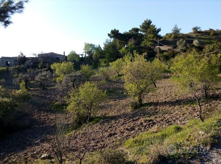 Masseria a Oriolo (CS) - Vista 4