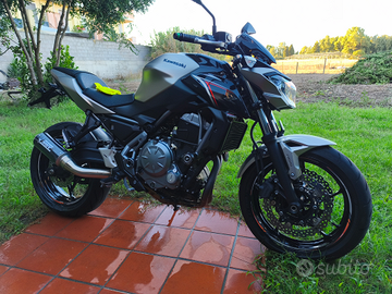 Kawasaki Z650 del 2018