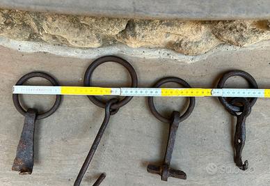 Lotto 4 anelli da muro ferro battuto toro catena