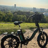 Bici pedalata assistita pieghevole