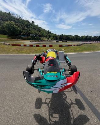 GO KART COMPLETO, MOTORE IAME OKJ