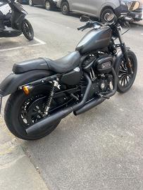 Harley Davidson 883 Iron