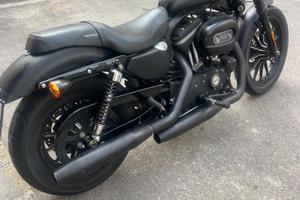 Harley Davidson 883 Iron