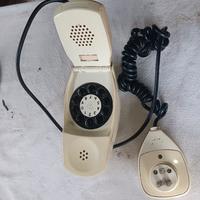 telefono grillo 