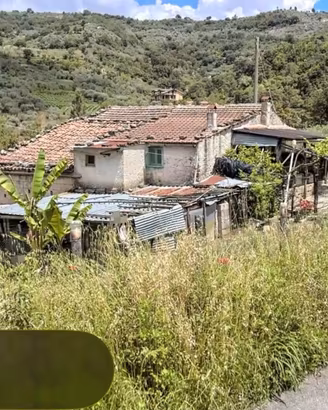 Proprietà Immobiliare con Terreno