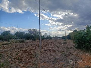 TER. AGRICOLO A MOLA DI BARI