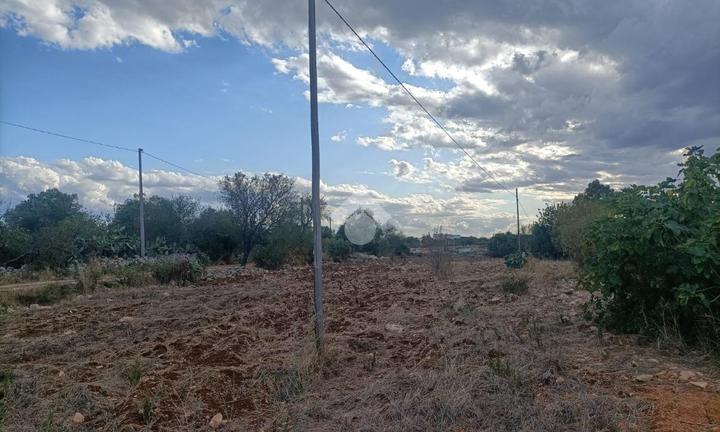 TER. AGRICOLO A MOLA DI BARI
