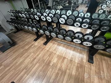 PALESTRA