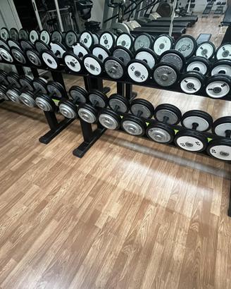 PALESTRA
