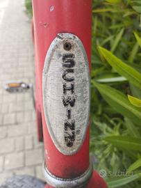 Schwinn cruiser