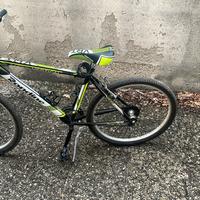 Bicicletta ragazzo 26 pollici