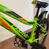 Bici bimbo 20’’ Casadei