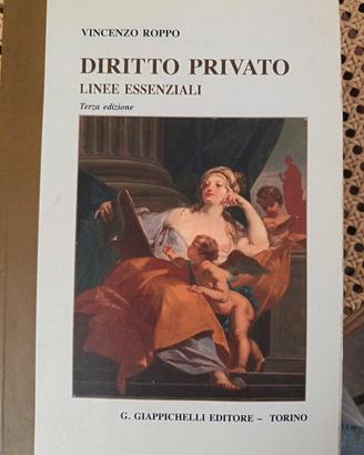 diritto privatolinee essenziali