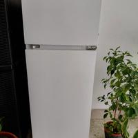 Frigo da incasso