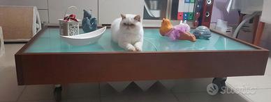 tavolino da salotto apribile Esprit di Cattelan