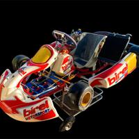 🏎️ Go-Kart Birel RY 31