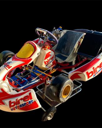 🏎️ Go-Kart Birel RY 31