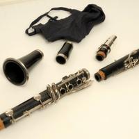 clarinetto yamaha 250