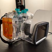 Custodia scafandro Canon WP-DC34 Canon G12 G11