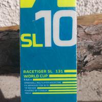 Sci slalom speciale