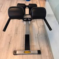Lower back lombari technogym