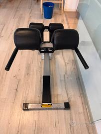 Lower back lombari technogym