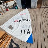 ILCA PSA del 2021, ITA 218350