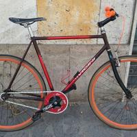 Bicicletta fixie / single speed Vicini