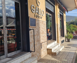 Gallo Bistrot