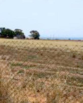 Terreno in Strada Comunale Gaddimeli snc
