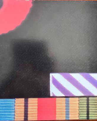 PINK FLOYD THE FINAL CUT VINILE 33 GIRI