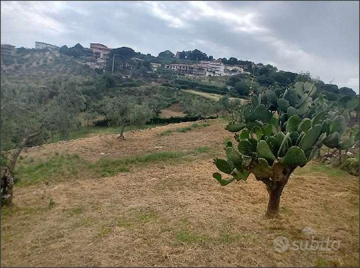 Terreno Agricolo a Norma - Vista 2