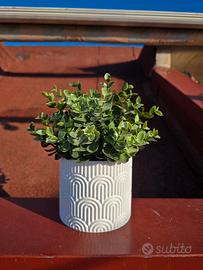 Vaso per piante da interno 