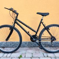 bicicletta Mtb
