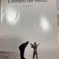 Romanzo l ombra del vento