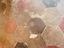 Immagine 12